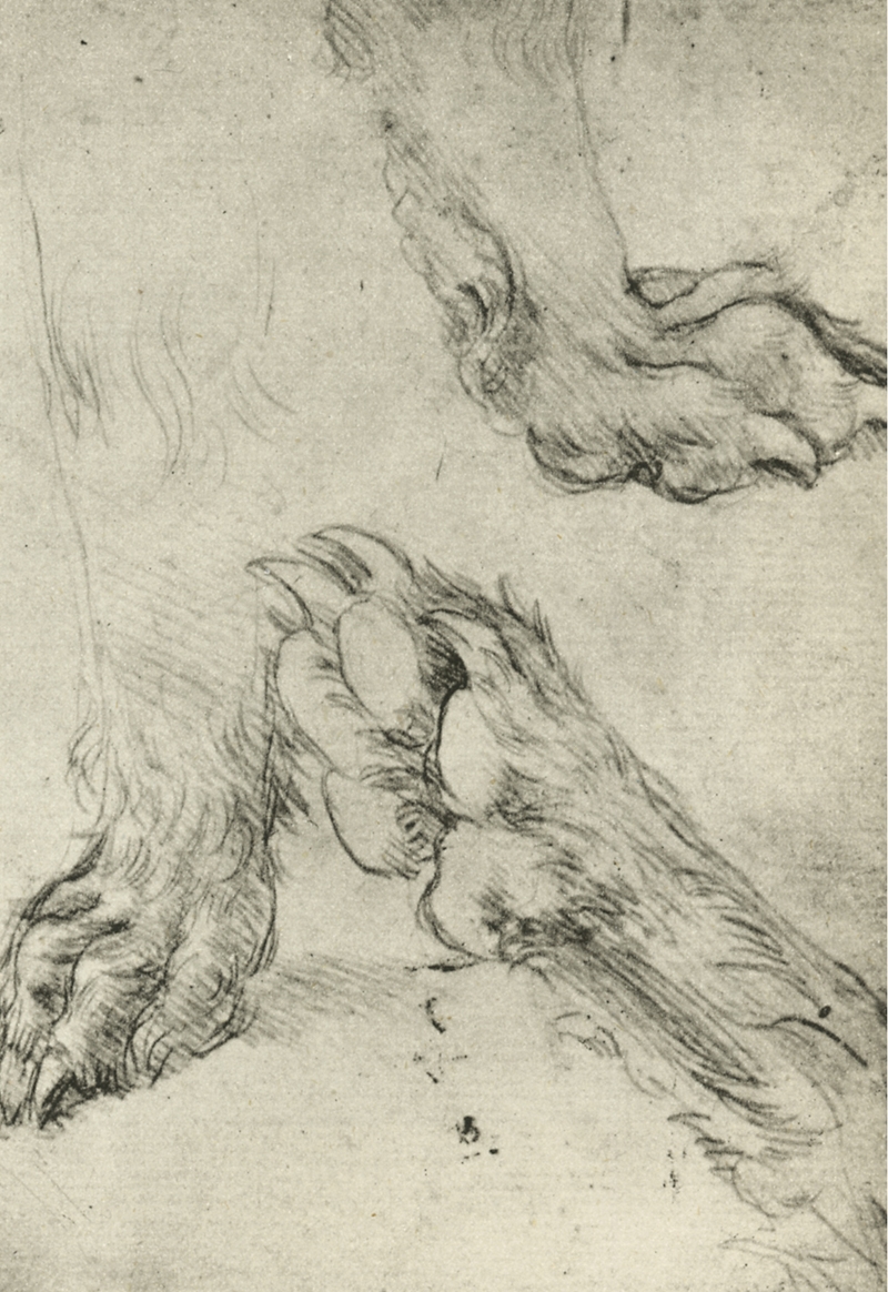 Leonardo+da+Vinci-1452-1519 (339).jpg